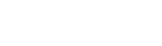 MM Motors Company