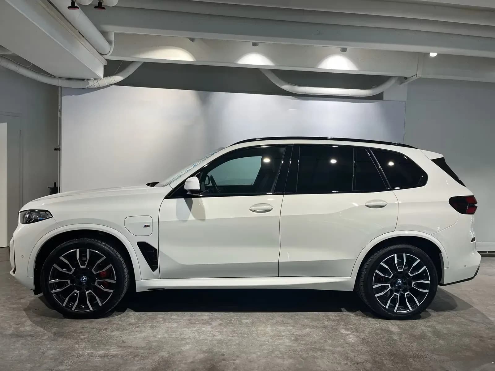 BMW X5 50e (foto 6/15)