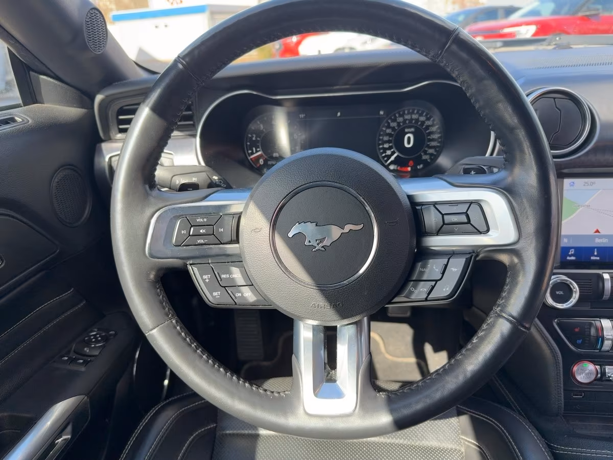 Ford Mustang Mach1 (foto 15/20)