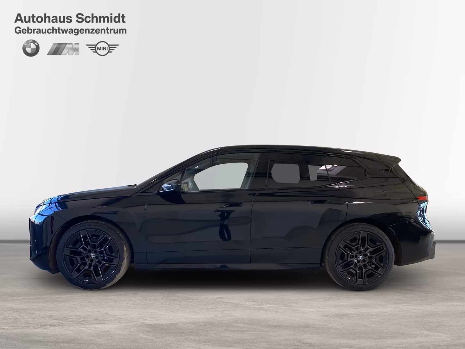 BMW iX (foto 3/20)
