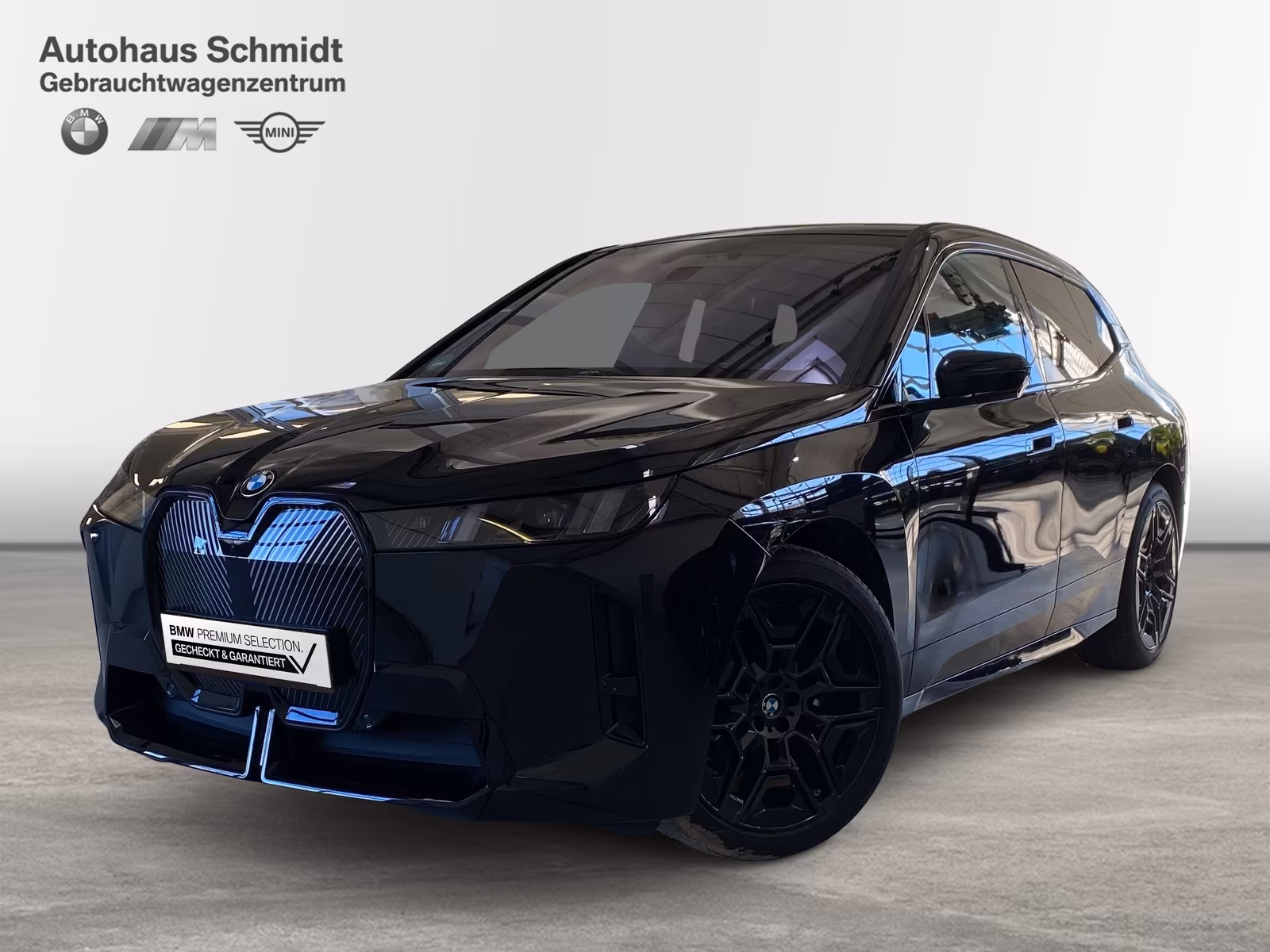 BMW iX
