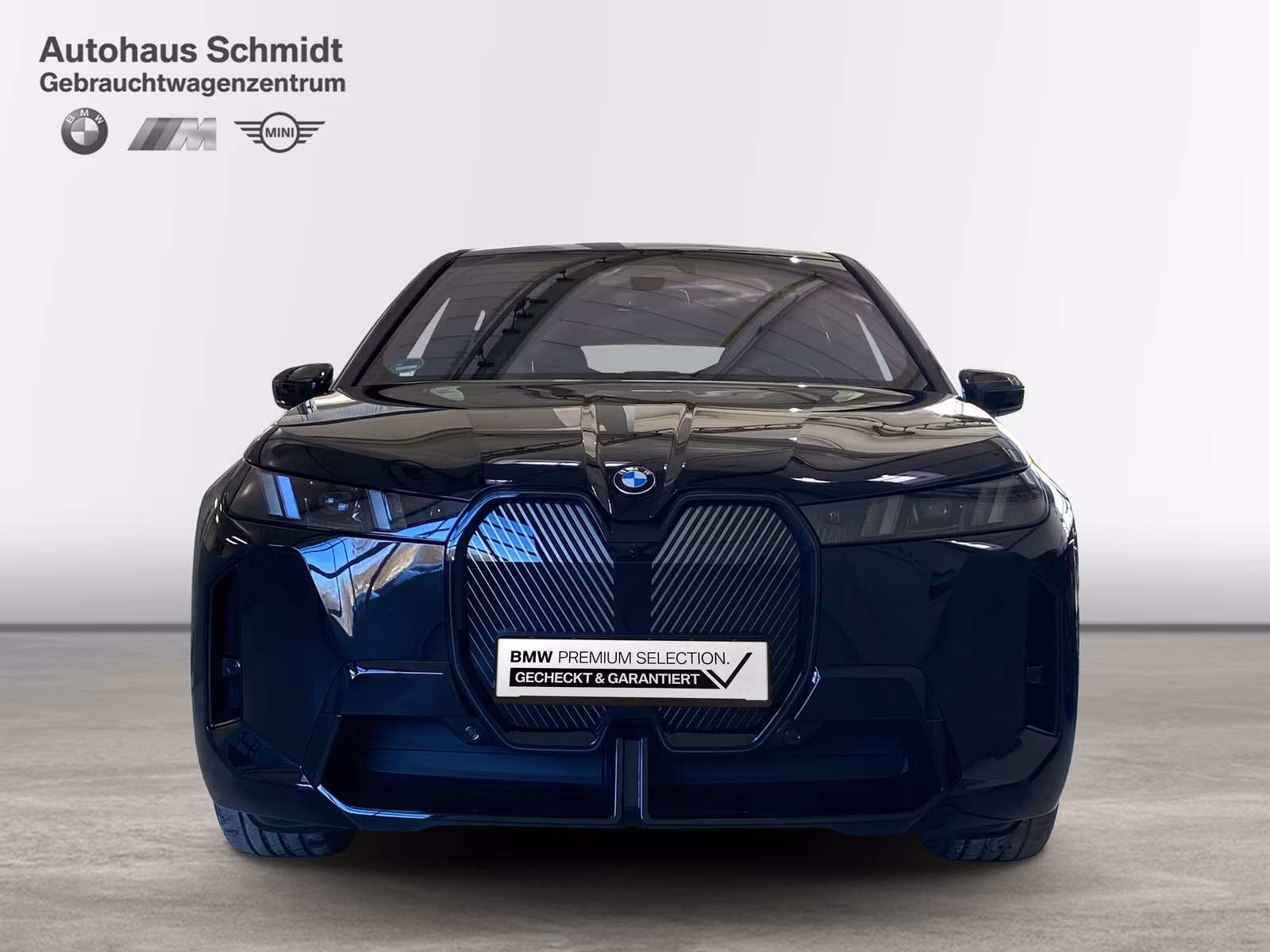BMW iX (foto 2/20)