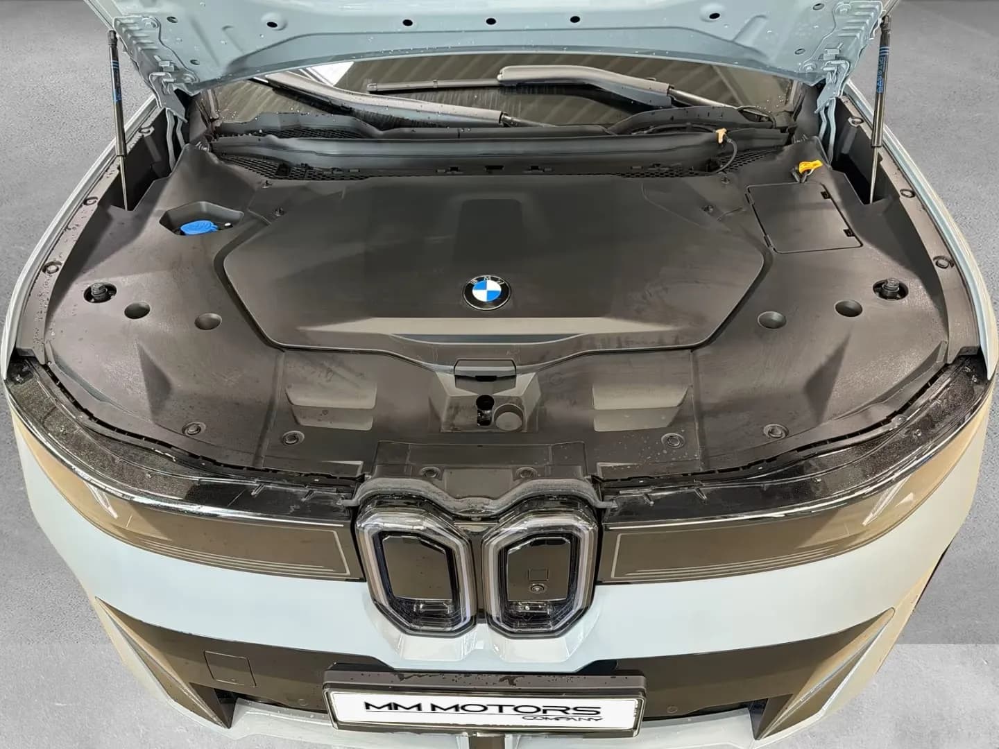 BMW iX3 (foto 3/17)
