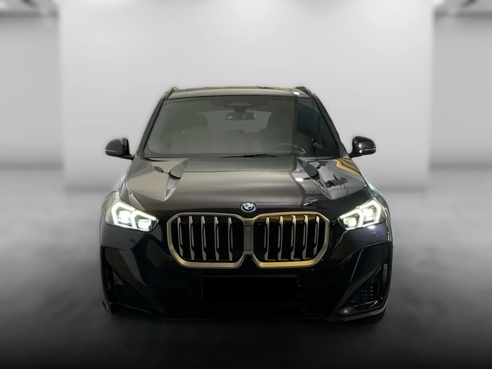 BMW X1 30e M Sport (foto 2/15)
