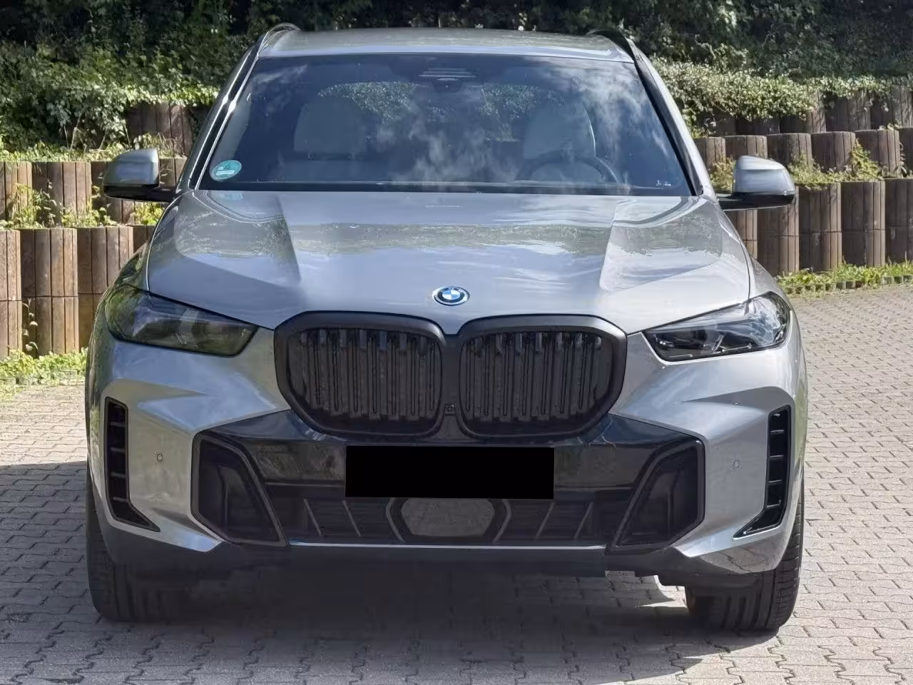 BMW X5 50e (foto 2/19)