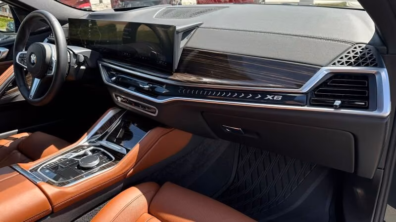 BMW X6 (foto 12/19)