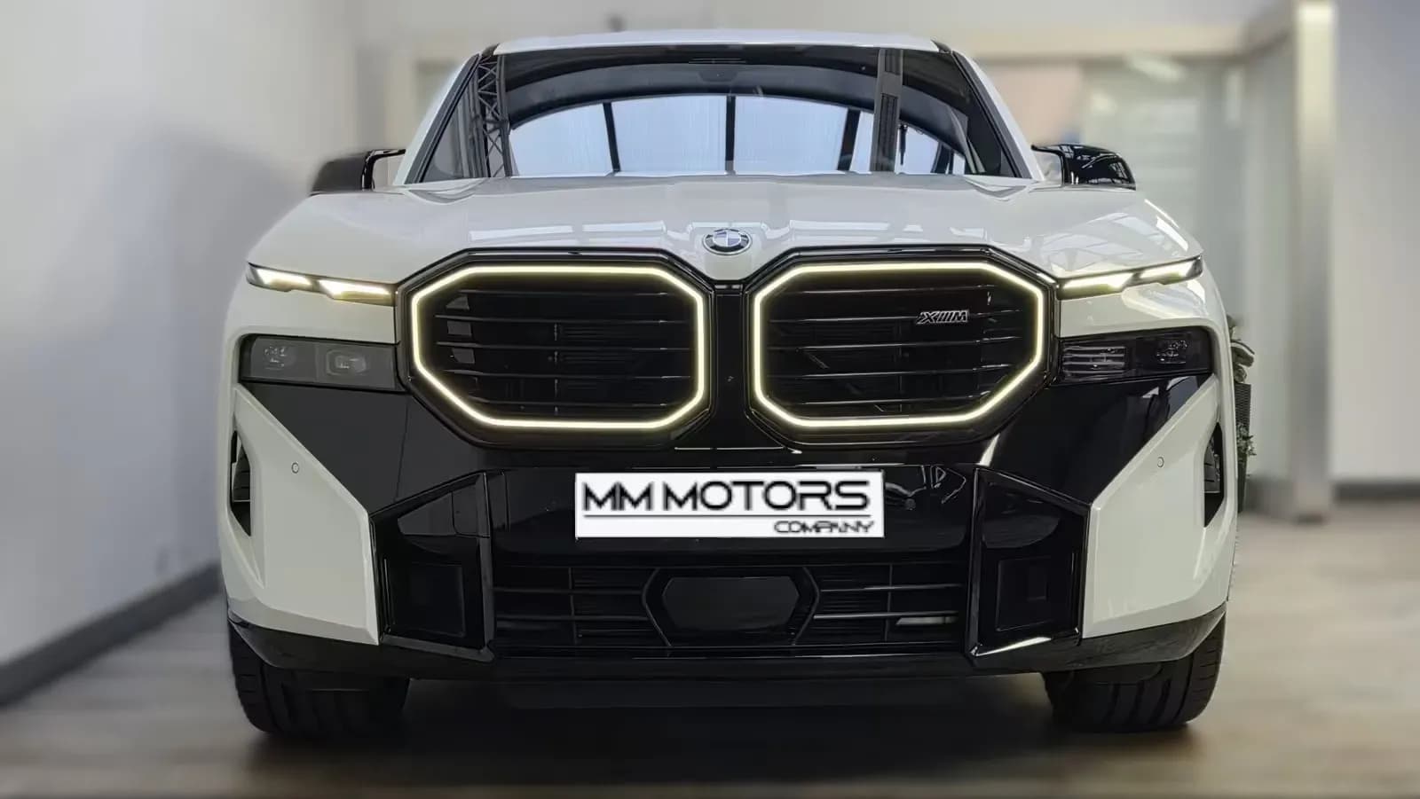 BMW XM (foto 2/30)