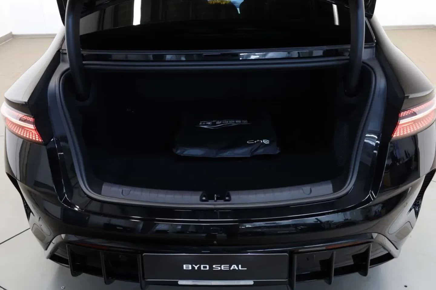 BYD SEAL Performance (foto 7/22)