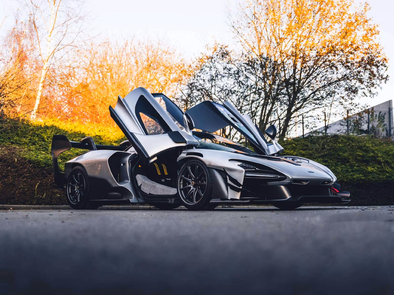 McLaren Senna GTR (foto 9/28)