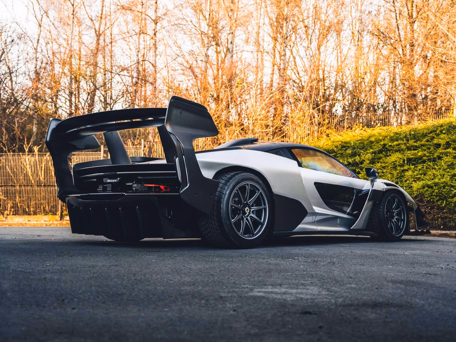 McLaren Senna GTR (foto 7/28)